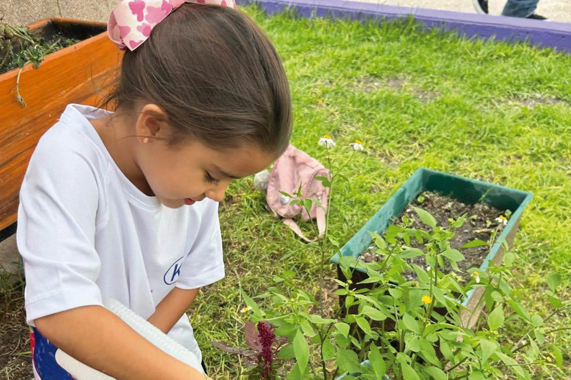 Colegios Bilingües Viktor Frankl